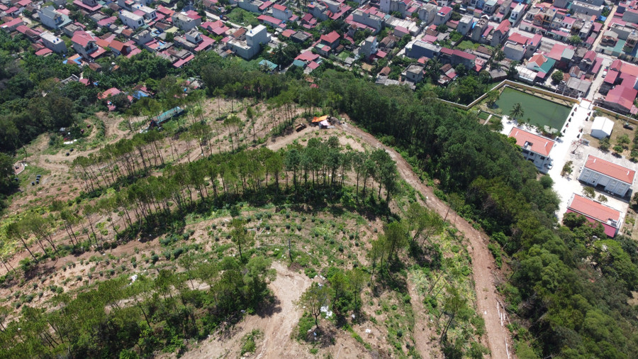Linh Trường là dãy núi quan trọng không chỉ về an ninh quốc phòng mà còn về chức năng phòng hộ. Linh Trường là dãy núi quan trọng không chỉ về an ninh quốc phòng mà còn về chức năng phòng hộ.