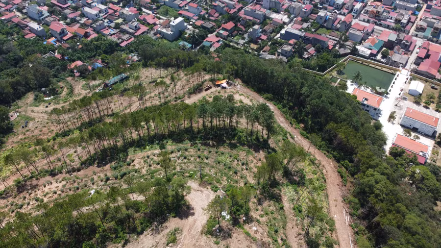 Linh Trường là dãy núi quan trọng không chỉ về an ninh quốc phòng mà còn về chức năng phòng hộ. Linh Trường là dãy núi quan trọng không chỉ về an ninh quốc phòng mà còn về chức năng phòng hộ.