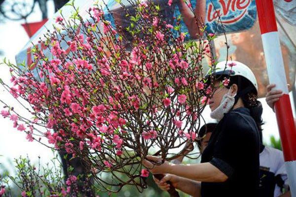Thời tiết 17/1: Bắc Bộ và Bắc Trung Bộ mưa rét, vùng núi dưới 11 độ