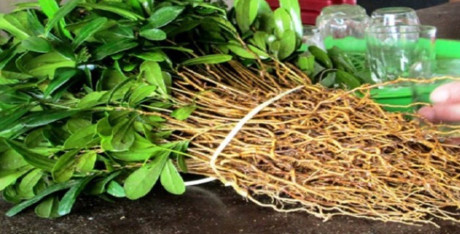 Sự thật về Su that ve