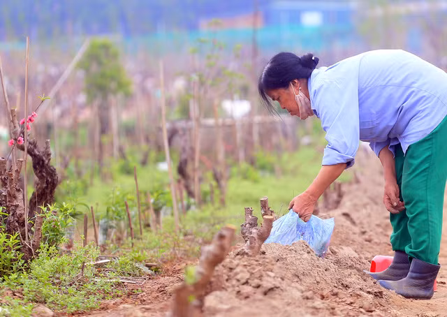 Ảnh minh họa/INT