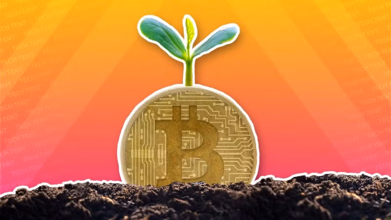 Cơn sốt Bitcoin - Thách thức đối với môi trường tự nhiên ảnh 1