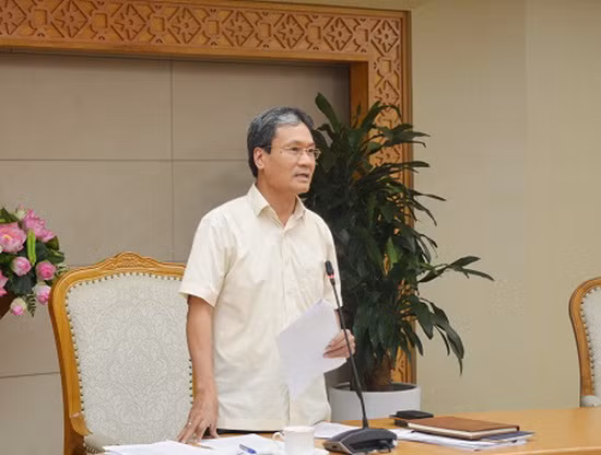 Phó Chủ nhiệm VPCP Nguyễn Cao Lục, Tổ phó Tổ công tác của Thủ tướng phát biểu tại buổi làm việc. Ảnh: Hoàng Anh