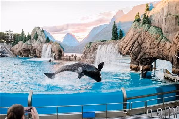 Sinh vật biển sống ở công viên như sống trong môi trường tự nhiên.