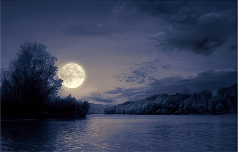 Ảnh minh họa. Ảnh minh họa.