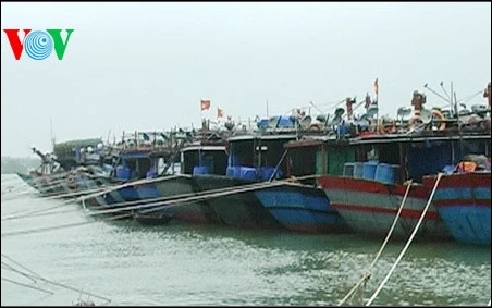 Hơn 45.000 tàu thuyền chủ động tránh bão Hagupit