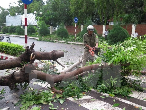 Công điện yêu cầu các địa phương chủ động đối phó bão Hagupit