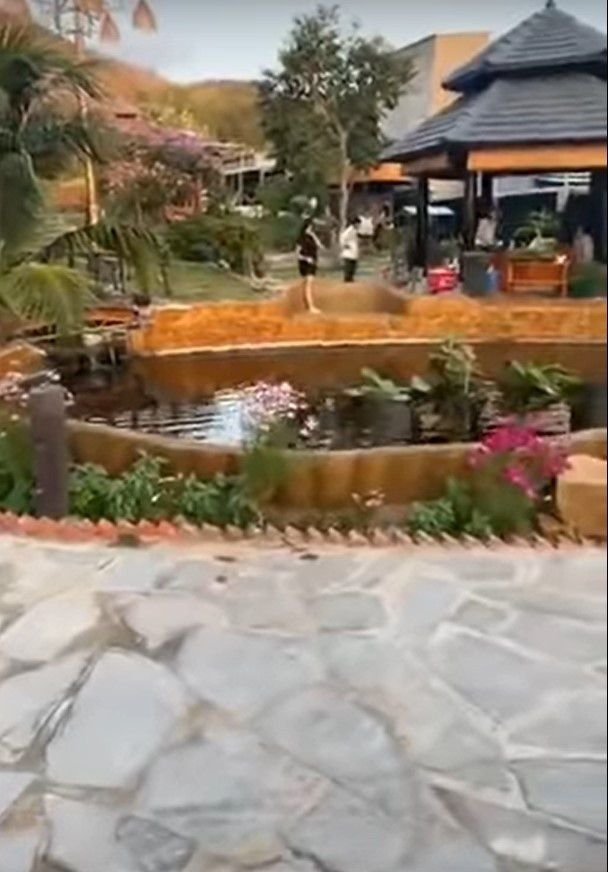 Quyền Linh tiết lộ gia trang rộng lớn của vợ chồng Hồng Vân - Lê Tuấn Anh Quyền Linh tiết lộ gia trang rộng lớn của Hồng Vân - Lê Tuấn Anh