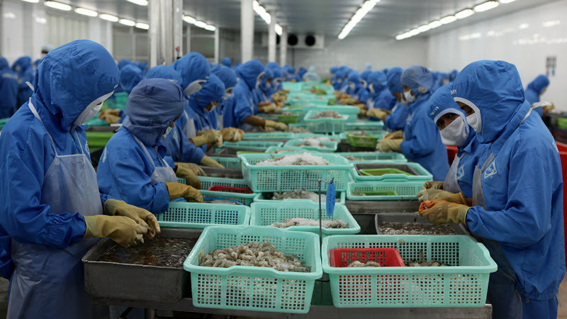 Doanh nghiệp bị tồn đọng lượng hàng lớn, chi phí lưu kho tăng mạnh vì các đơn hàng thuỷ sang xuất sang Trung Quốc đều bị lùi chậm lại Cua Cà Mau rớt giá, thuỷ sản đi Trung Quốc tồn đọng lớn