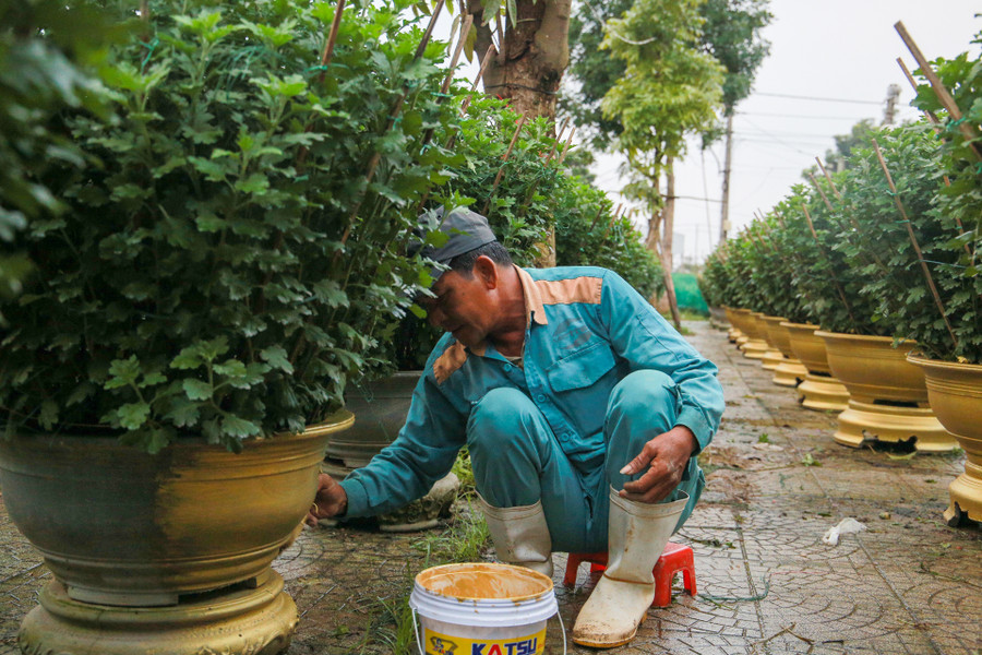 Ông Phú đang sơn màu cho chậu hoa được “bắt mắt". Ông Phú đang sơn màu cho chậu hoa được “bắt mắt".