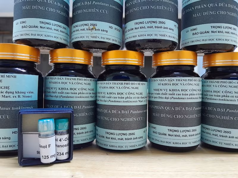 Cao chiết từ dứa dại có tác dụng bảo vệ gan.