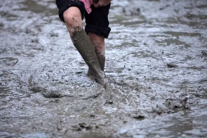 “Vi khuẩn ăn thịt người” Whitmore sống rất lâu trong đất.