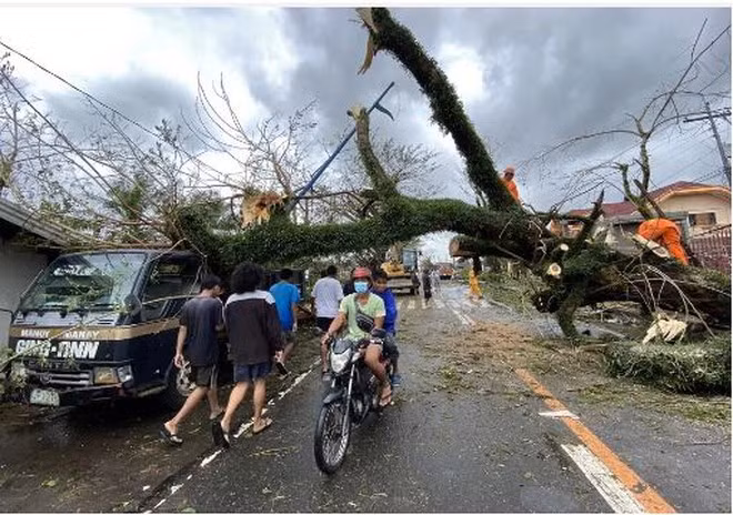 Nhiều cây cối bị đổ sau khi bão tràn qua thành phố Tigaon. Ảnh: Reuter.