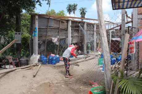 Con no tien, cha me bi do nha - Anh 2