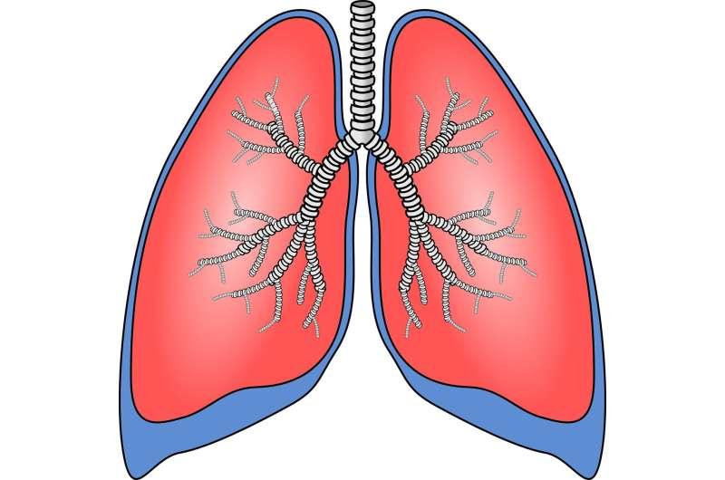 Tiếp xúc với các chất gây ung thư, gây ra đột biến DNA và có thể trở thành ung thư. 