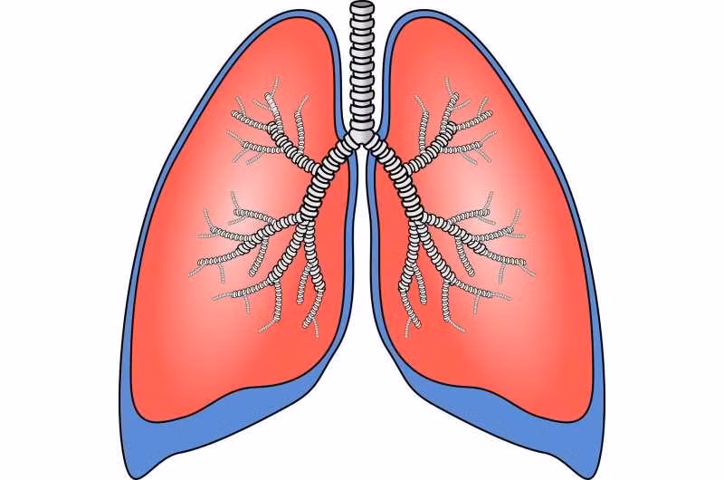 Tiếp xúc với các chất gây ung thư, gây ra đột biến DNA và có thể trở thành ung thư. 