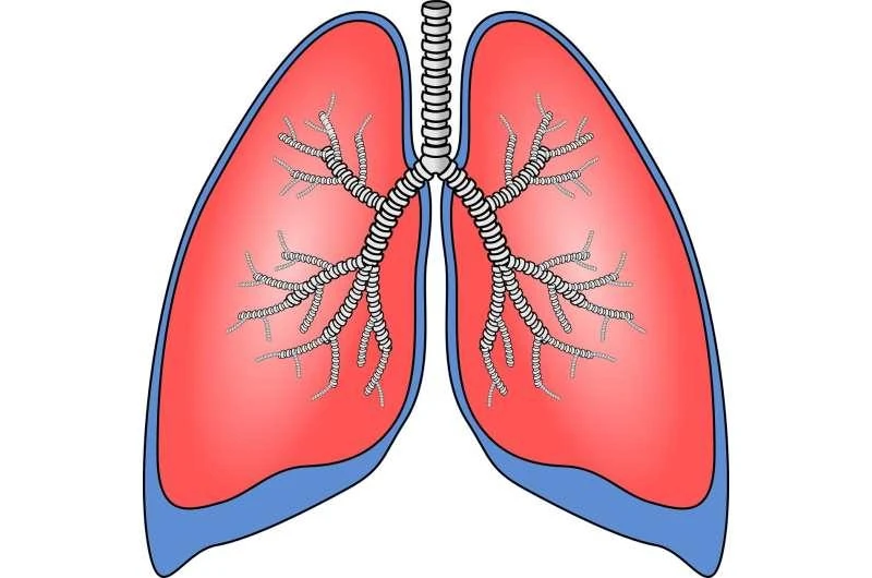 Tiếp xúc với các chất gây ung thư, gây ra đột biến DNA và có thể trở thành ung thư. 