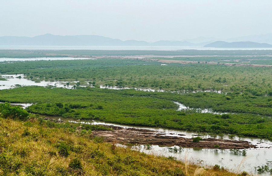 Tuyến đê bao có chiều dài 3.590m, có hình chữ U quây bên trong là 127ha rừng ngập mặn đang bị uy hiếp. Ảnh: Minh Cương Tuyến đê bao có chiều dài 3.590m, có hình chữ U quây bên trong là 127ha rừng ngập mặn đang bị uy hiếp. Ảnh: Minh Cương