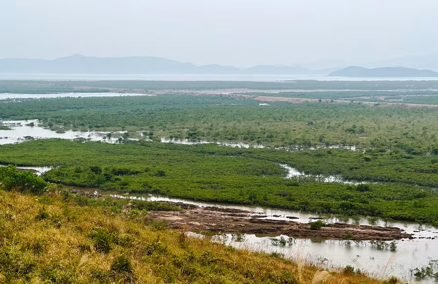 Tuyến đê bao có chiều dài 3.590m, có hình chữ U quây bên trong là 127ha rừng ngập mặn đang bị uy hiếp. Ảnh: Minh Cương