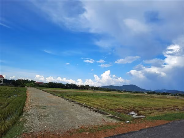 Vùng quy hoạch đấu giá đất Le Le.