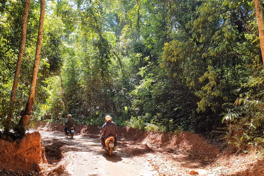 Để vào buôn Lách Ló phải băng qua hơn 10km đường rừng.