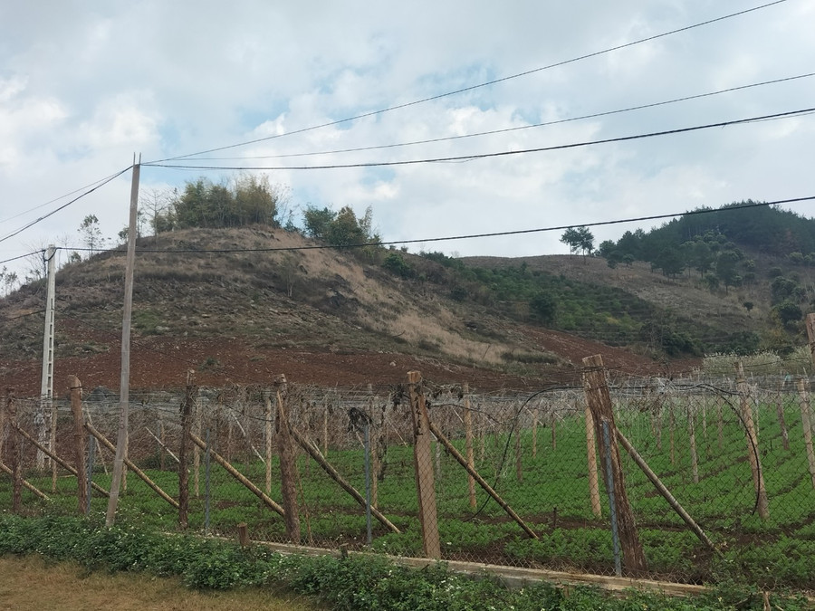 Khu đất của ông Tòng Thanh Sơn, Chủ tịch UBND xã Chiềng Sung được vây bờ rào B40. Khu đất của ông Tòng Thanh Sơn, Chủ tịch UBND xã Chiềng Sung được vây bờ rào B40.