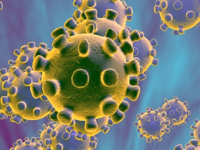 44 người mắc virus hô hấp lạ ở Trung Quốc