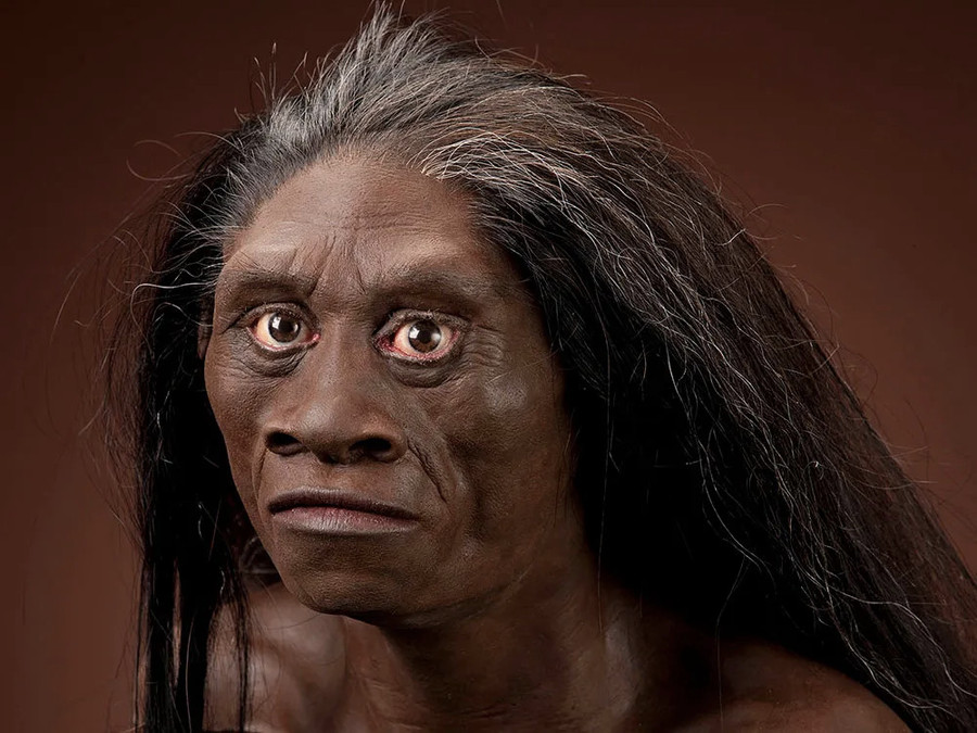 Người tinh khôn (Homo sapiens) là loài người duy nhất còn tồn tại đến ngày nay. Người tinh khôn (Homo sapiens) là loài người duy nhất còn tồn tại đến ngày nay.