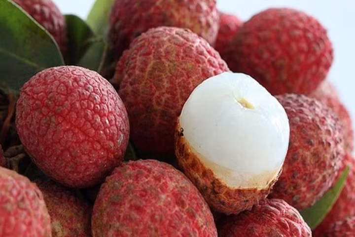 Ăn không đúng cách, vải thiều hóa "thuốc độc"