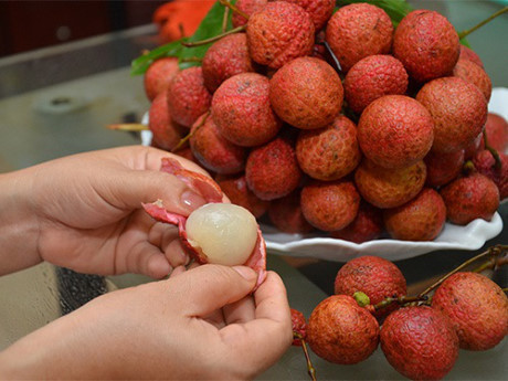 Ăn không đúng cách, vải thiều hóa An khong dung cach, vai thieu hoa