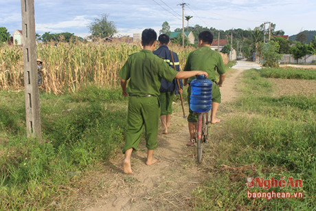 Nghệ An: Cảnh sát phòng cháy giúp dân thu hoạch lạc - Ảnh 4 Nghe An: Canh sat phong chay giup dan thu hoach lac - Anh 4