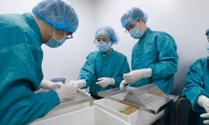 Các nhà nghiên cứu của VABIOTECH tiến hành đánh giá kháng thể đáp ứng miễn dịch sau tiêm thử vắc-xin trên chuột.