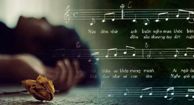 Nghe nhạc buồn quá nhiều liệu có... chết sớm?