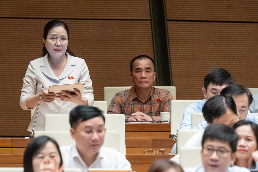 Đại biểu Đỗ Thị Lan (Đoàn ĐBQH tỉnh Quảng Ninh). Đại biểu Đỗ Thị Lan (Đoàn ĐBQH tỉnh Quảng Ninh).