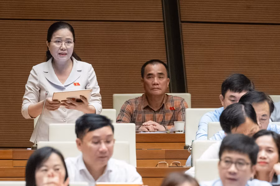 Đại biểu Đỗ Thị Lan (Đoàn ĐBQH tỉnh Quảng Ninh).