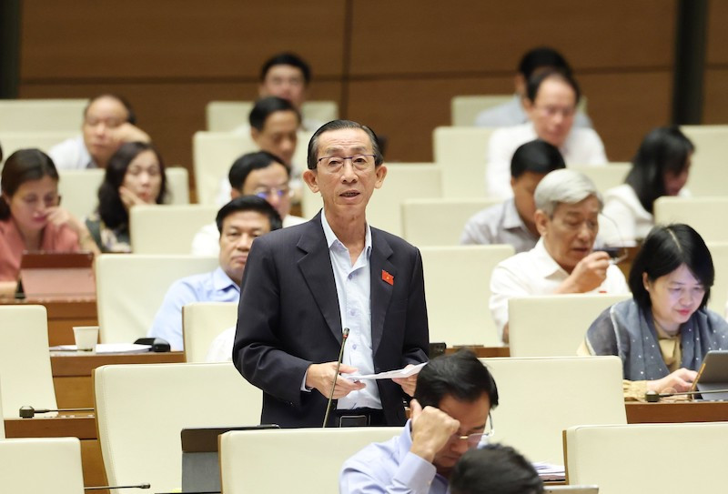 Đại biểu Trần Hoàng Ngân (Đoàn ĐBQH TPHCM). Đại biểu Trần Hoàng Ngân (Đoàn ĐBQH TPHCM).