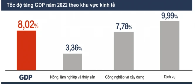 Ước tính GDP năm 2022 tăng 8,02%. 