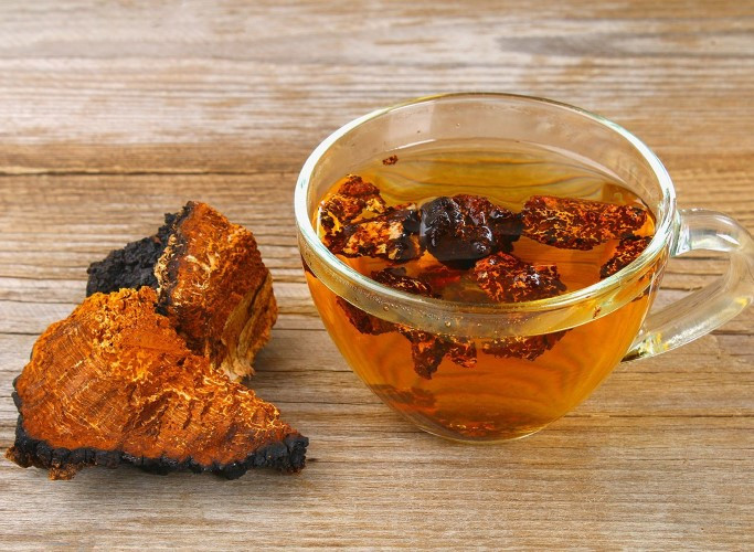 Trà chaga có mùi thơm, vị ngọt, chứa rất nhiều vitamin và khoáng chất lợi sức khỏe. Trà chaga có mùi thơm, vị ngọt, chứa rất nhiều vitamin và khoáng chất lợi sức khỏe.