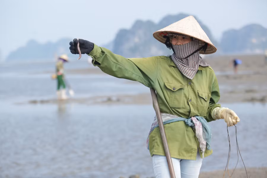 Với một nhát phóng mai thật nhanh, hất cát lên là chú sá sùng đã nằm gọn trong tay