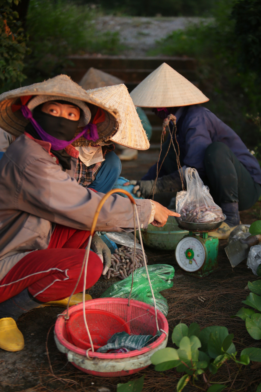 Thấm đẫm mồ hôi, ngư dân kiểm tra kết quả sau một ngày làm việc vất vả