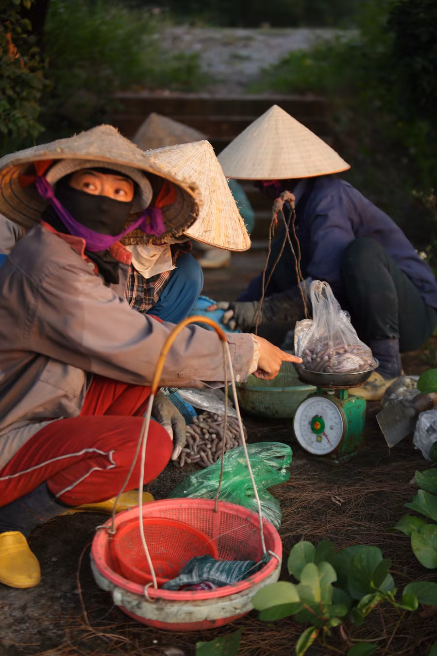 Thấm đẫm mồ hôi, ngư dân kiểm tra kết quả sau một ngày làm việc vất vả