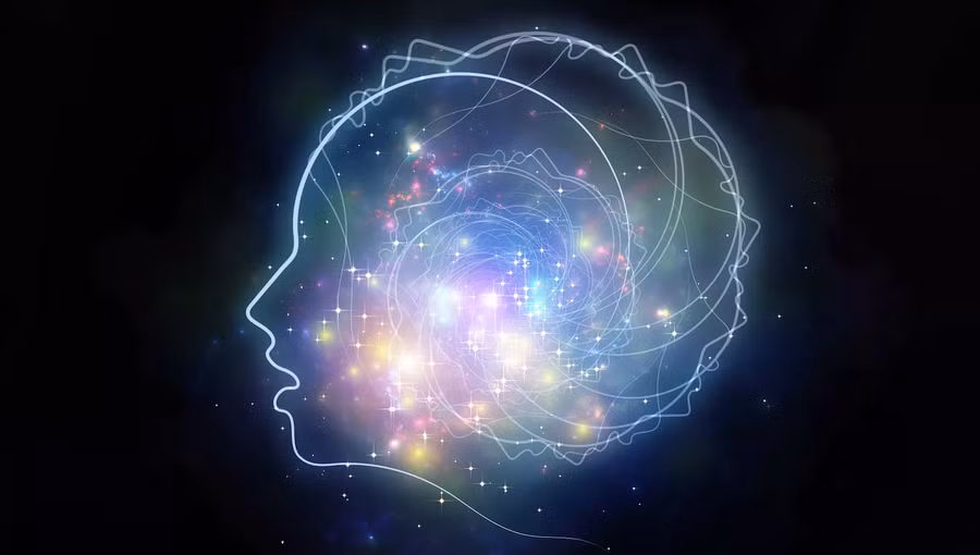 Ký ức được định hình bởi những gì chúng ta mong đợi nhìn thấy. 