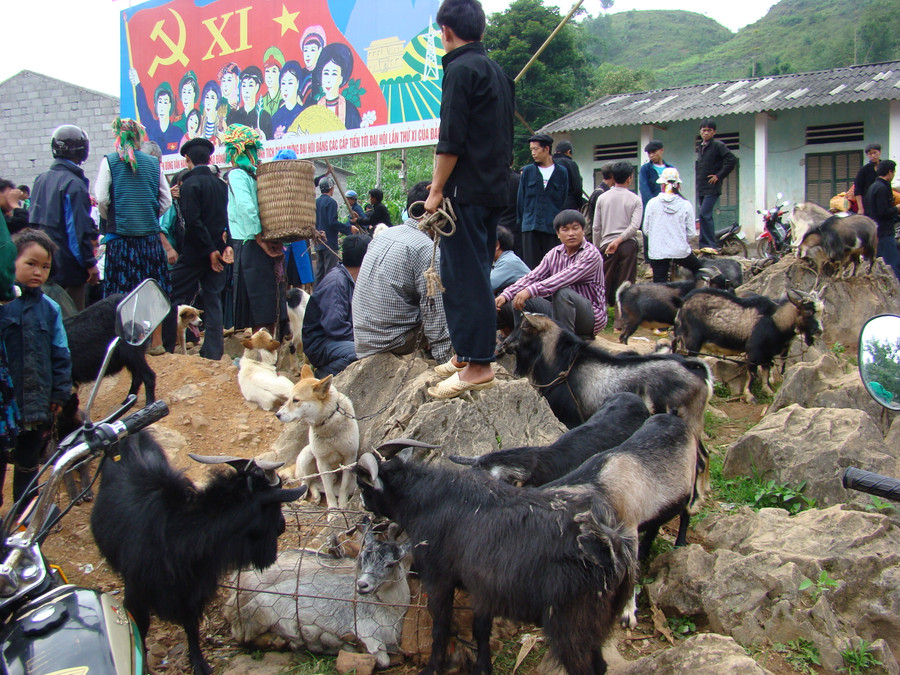 Phiên chợ lùi ở Lũng Phìn (Hà Giang) - một phiên chợ đặc sắc của đồng bào dân tộc - thu hút sự quan tâm rất lớn của du khách quốc tế.