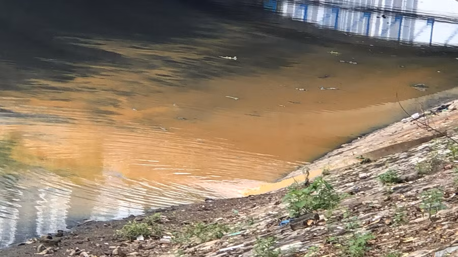 Bên kia cầu Khương Đình, nước đỏ ngầu xả trực tiếp xuống sông Tô Lịch Bên kia cầu Khương Đình, nước đỏ ngầu xả trực tiếp xuống sông Tô Lịch