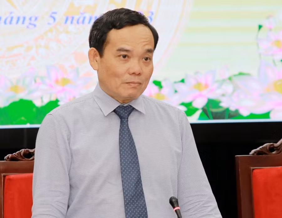 Phó Thủ tướng Trần Lưu Quang phát biểu tại buổi làm việc.