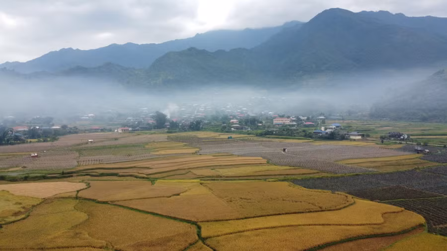 Bản làng và cánh đồng lúa của bà con người Thái dưới lớp sương mù bao phủ trong buổi sáng sớm.