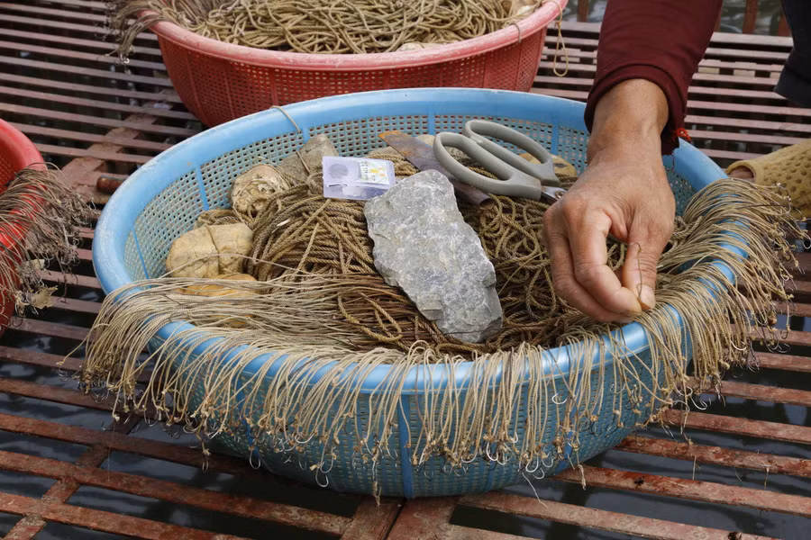 Ngư dân dùng hàng nghìn lưỡi câu để đánh bắt cá chiên giống.