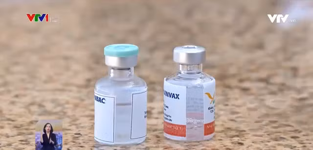 Vaccine COVID-19 của Việt Nam đã được thử nghiệm trên khỉ. Ảnh: VTV