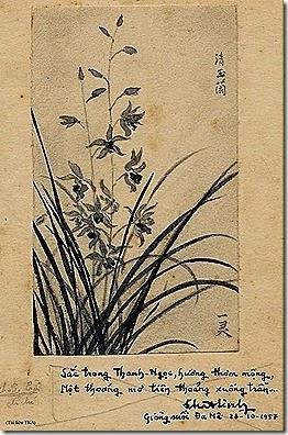 Phác thảo Hoa Phong Lan trong sổ tay của Nhất Linh (28/10/1957). Phác thảo Hoa Phong Lan trong sổ tay của Nhất Linh (28/10/1957).