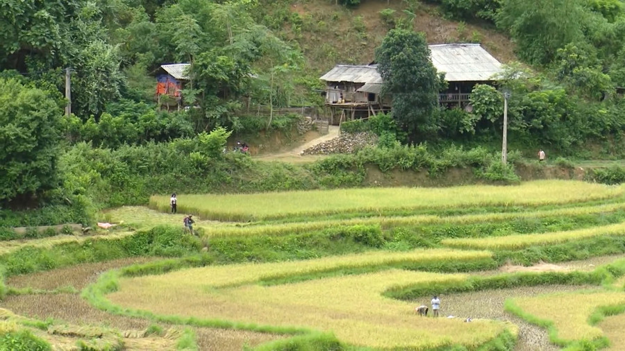 Chính quyền địa phương luôn quan tâm, hướng dẫn kỹ thuật giúp người dân phát triển nông nghiệp. Chính quyền địa phương luôn quan tâm, hướng dẫn kỹ thuật giúp người dân phát triển nông nghiệp.